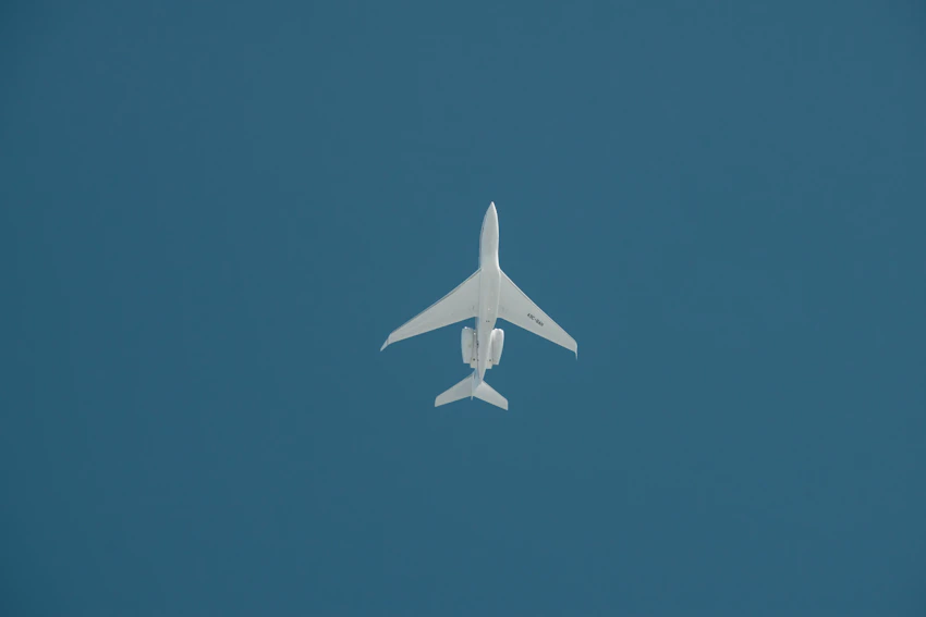 Página de inicio de Koia