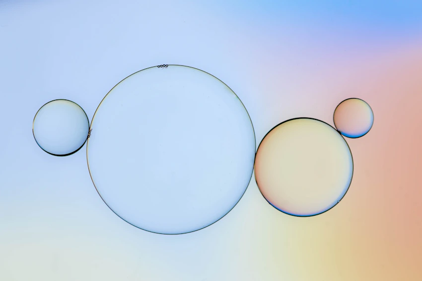 Venn diagram of CDP and CRM