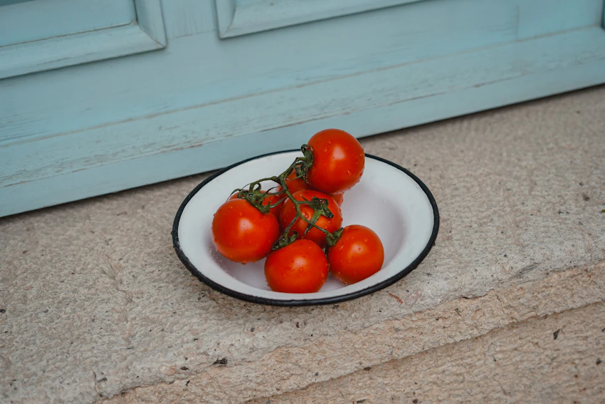 Summer Tomato welcome email